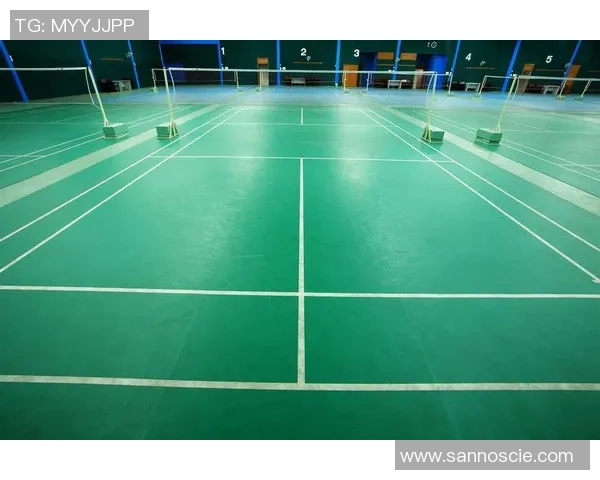 杭州羽毛球队近期状态分析与表现评估全景解读