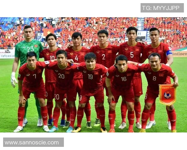 越南血统足球明星盘点与成就分析全景展示