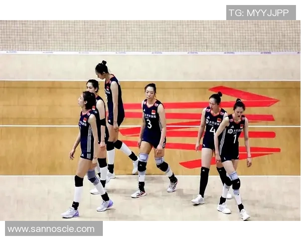 最新排球技术TOP10：武汉排球队领跑