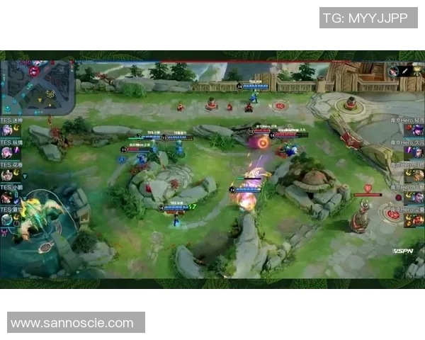 王者荣耀评论：TES的转换得失