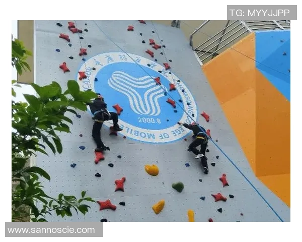 攀岩战术：重庆攀岩队的中路突破体系