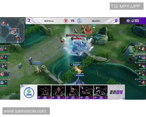 热议王者荣耀：TES的战术变革