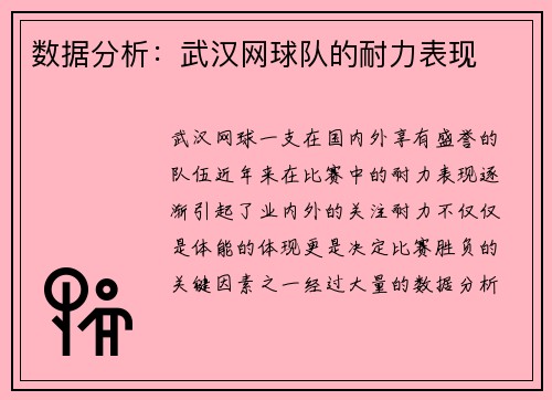数据分析：武汉网球队的耐力表现
