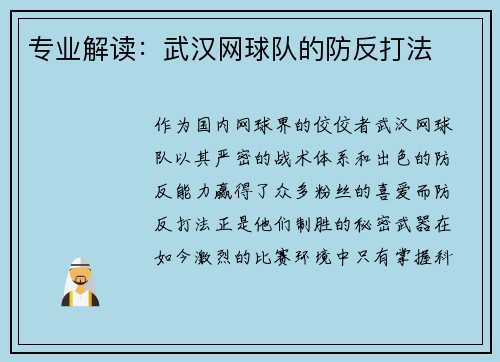 专业解读：武汉网球队的防反打法