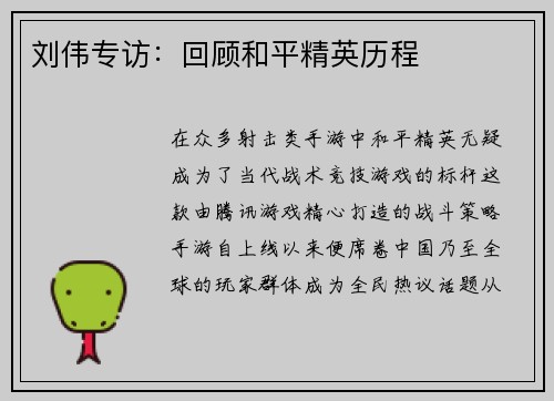 刘伟专访：回顾和平精英历程