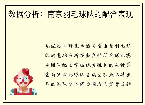 数据分析：南京羽毛球队的配合表现