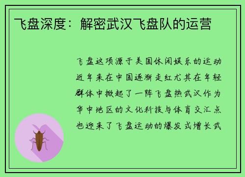 飞盘深度：解密武汉飞盘队的运营