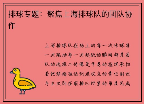排球专题：聚焦上海排球队的团队协作