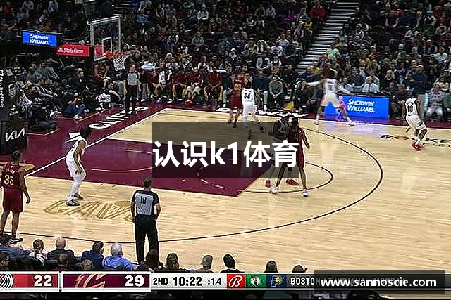 认识k1体育